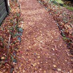 ベーカリーツキヨシ - 