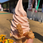 ソフト＆ドリーム - 