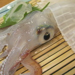 味処 大丸 - あしやんいか、アップで