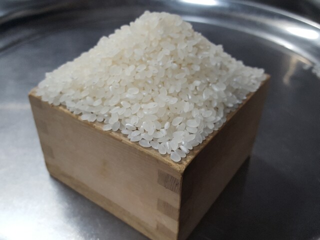 宮城商事 塩釜水産物仲卸市場店｜新鮮な海産物を扱う卸売市場