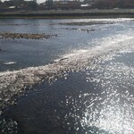 嵐山よしむら - 