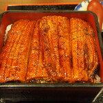 日本橋 まる榮 - うなぎ丼（一匹）