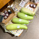 そば切り　高陣 - 【2020年09月】夕顔が並んでます。