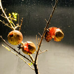 ラ カンロ - オマケ：店舗のザクロ