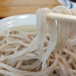 うどんのこいけや - 麺が茶色っぽいのが、武蔵野うどん？