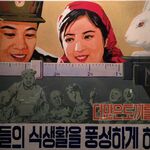 Yona mauru - 北朝鮮に貼ってあるポスター。「もっとウサギを飼って、兵隊さんたちにごちそうを食べてもらいましょう！」