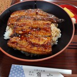 魚六 - うなぎ丼