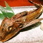 Shimokitazawataiya - ほうぼうの塩焼き