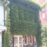 チロリン村 - ツタに覆われた店舗