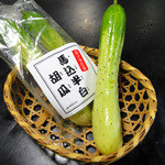 Ichimon - 江戸野菜「馬込半白胡瓜」他、「寺島茄子」等、季節により入荷致します！