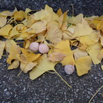 ラーメン二郎 - 凄い数落ちてた