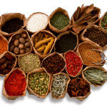 Katomandokaripuja - カリーは医食同源。”料理はアユールヴェーダ（インド伝承医学）に基づく薬膳料理にある”をコンセプトに、50種類以上のスパイスやハーブを多用しています。