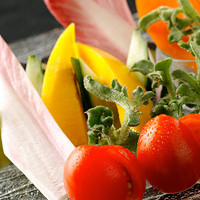 茨城常総市　寺こや農園の有機栽培野菜