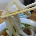 手打ちうどん こげら - ピンボケ残念…