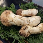 わらび野 - 松茸