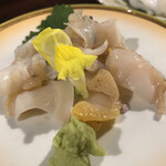 Shinsen Wasabi - 