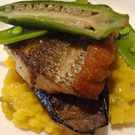 ル・パサージュ - イサキとアサリのサフランリゾット