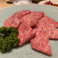 雪月花 たなかさとる - 