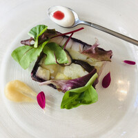 IL PINOLO 梅田 -  IL PINOLO 梅田 -