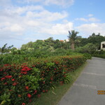 ラ・ティーダ - 