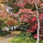 エヴァム・エヴァ・ヤマナシ・アジ - 敷地内（中庭）