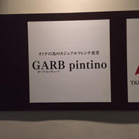 GARB pintino - 