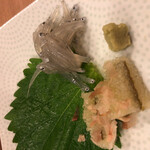 菊寿司 - 