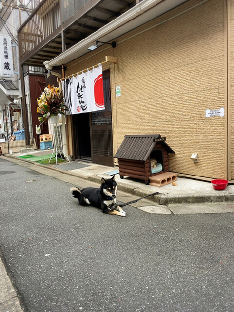 ﻌ 黒柴看板犬のいるラーメン店 By 面食いclover 麺屋 楽笑 亀戸 ラーメン 食べログ