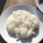 オーヤファンテーブル - ライス。