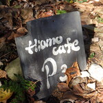 ヒオモカフェ - 