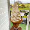 函館牛乳 あいす118  - 料理写真:バニラソフトクリーム