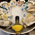 Oyster Bar ジャックポット - 