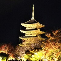 祇園 さゝ木 - 