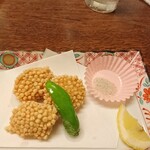 設楽 - 2010揚げ物