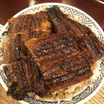 Unagi Namazuya - 