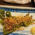 設楽 - 2011万願寺唐辛子