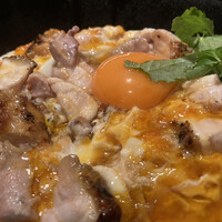 鳥ばか一代 -  鳥ばか一代 -