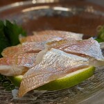 旬魚菜 しら川 - 血鯛酢〆　しめ加減が丁度良いです