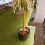 テラス付きBBQ＆貸切パーティー 渋谷ガーデンルーム - 