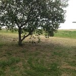 vokko - 湖岸に出て