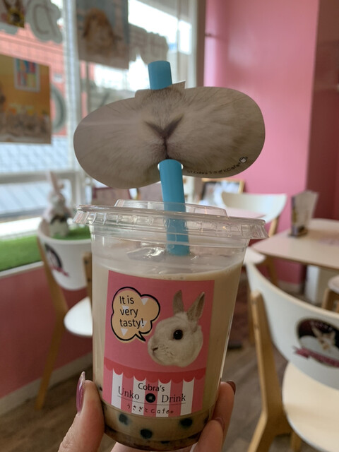 うさぎcafe うさぎカフェ｜大阪市北区中崎町｜昭和レトロな古民家カフェ