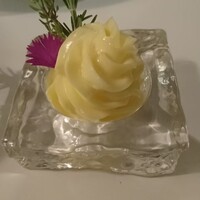 フォレスト イン ボン - 