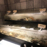 貝料理専門店 貝しぐれ - 