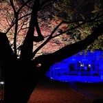 肉料理ふくなが - 