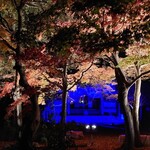 肉料理ふくなが - 