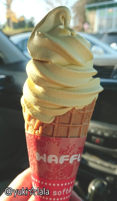 上河内sa 下り線 フードコート 鹿沼 餃子 食べログ