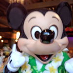 ポリネシアンテラス レストラン - 