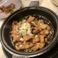 CINA New Modern Chinese - ホルモン