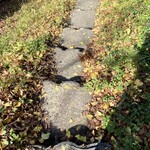 草庵 - 駐車場からのアプローチ