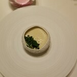 アルシミスト - 